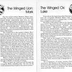 page-17 page-17