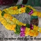 India Floods, Oct. 30 Update