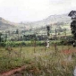 africa8.jpg